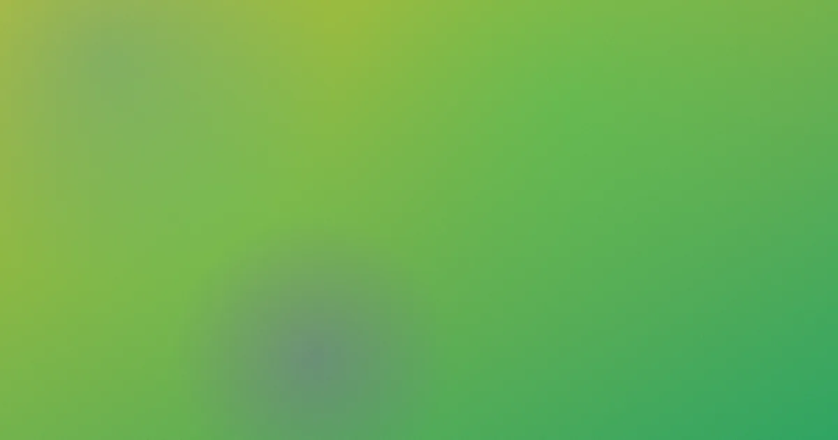 蜘蛛网怎么用？4种场景实测对比